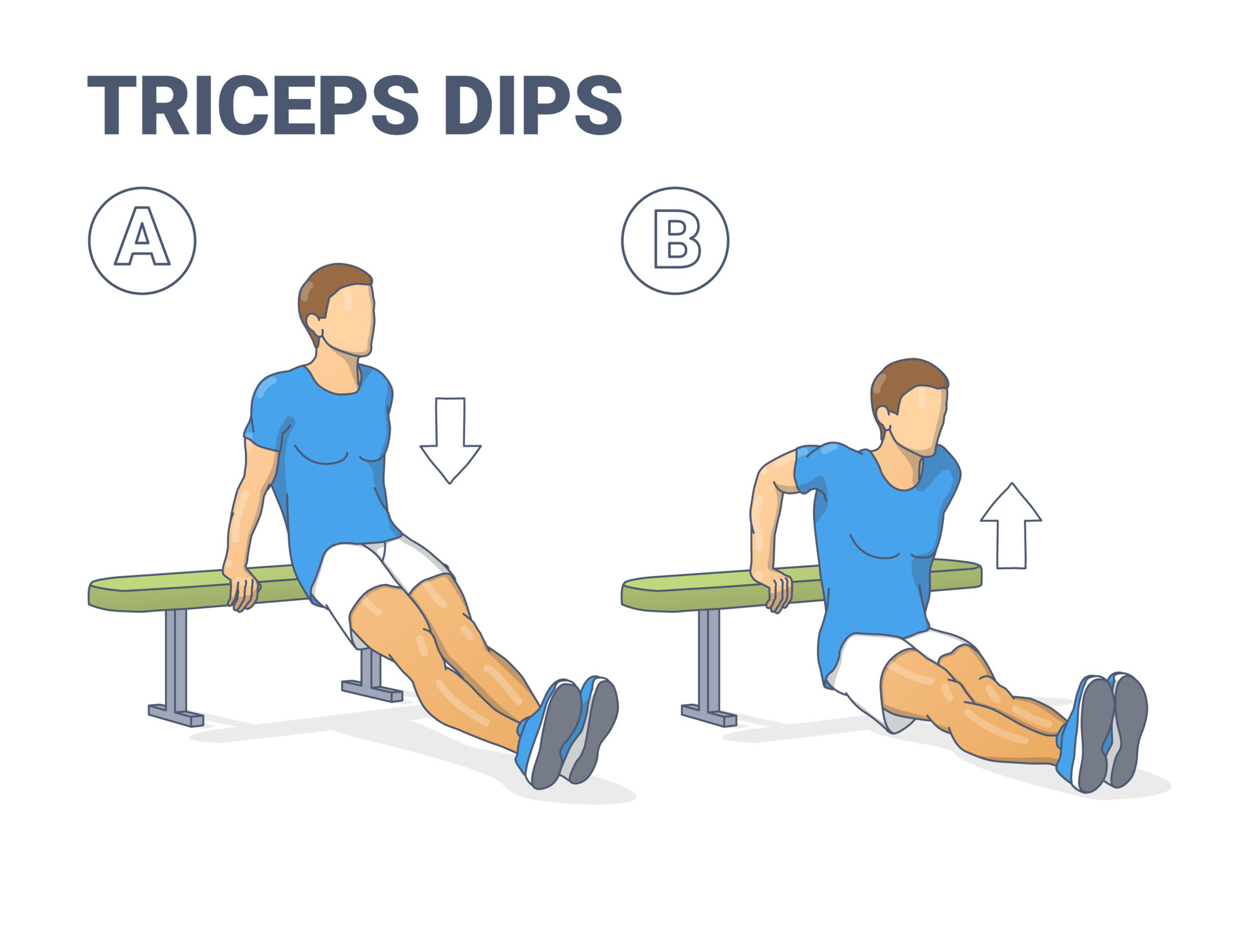 Triceps on a bench cheap