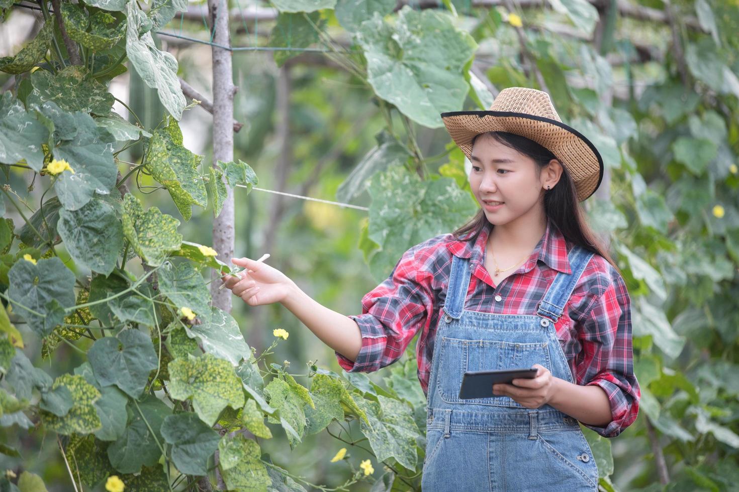 mujeres agrónomas asiáticas y agricultoras que utilizan tecnología para inspeccionar en el campo agrícola y vegetal orgánico foto