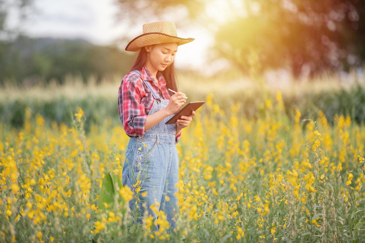 Asian women Agronomist and farmer Using Technology for inspecting in Agricultural and organic vegetable Field photo