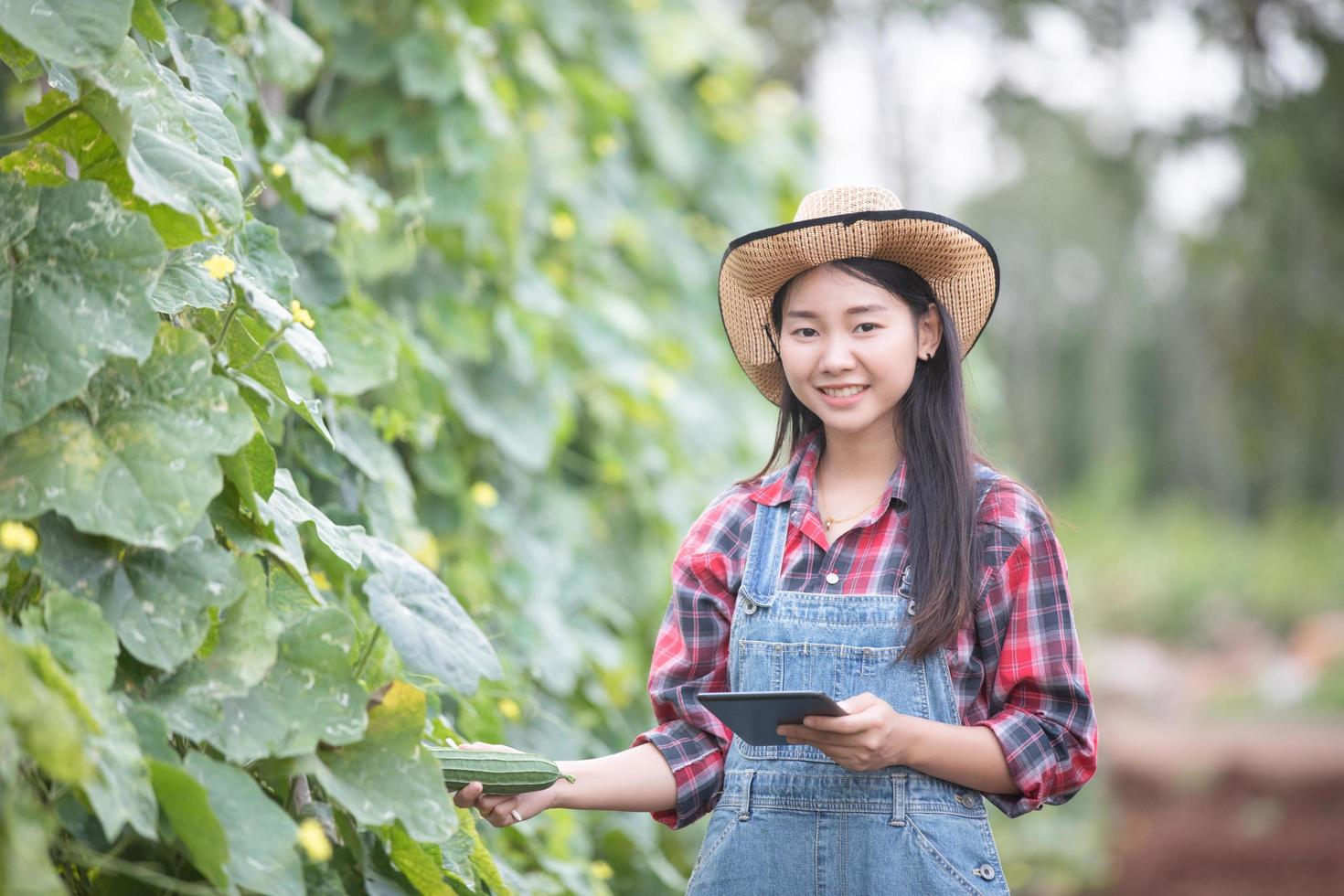 mujeres agrónomas asiáticas y agricultoras que utilizan tecnología para inspeccionar en el campo agrícola y vegetal orgánico foto