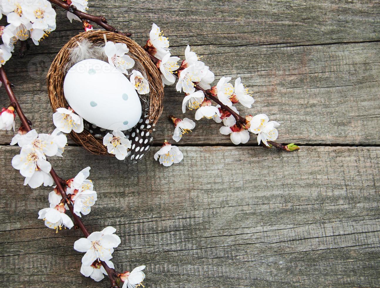 huevos de pascua y flores de primavera foto