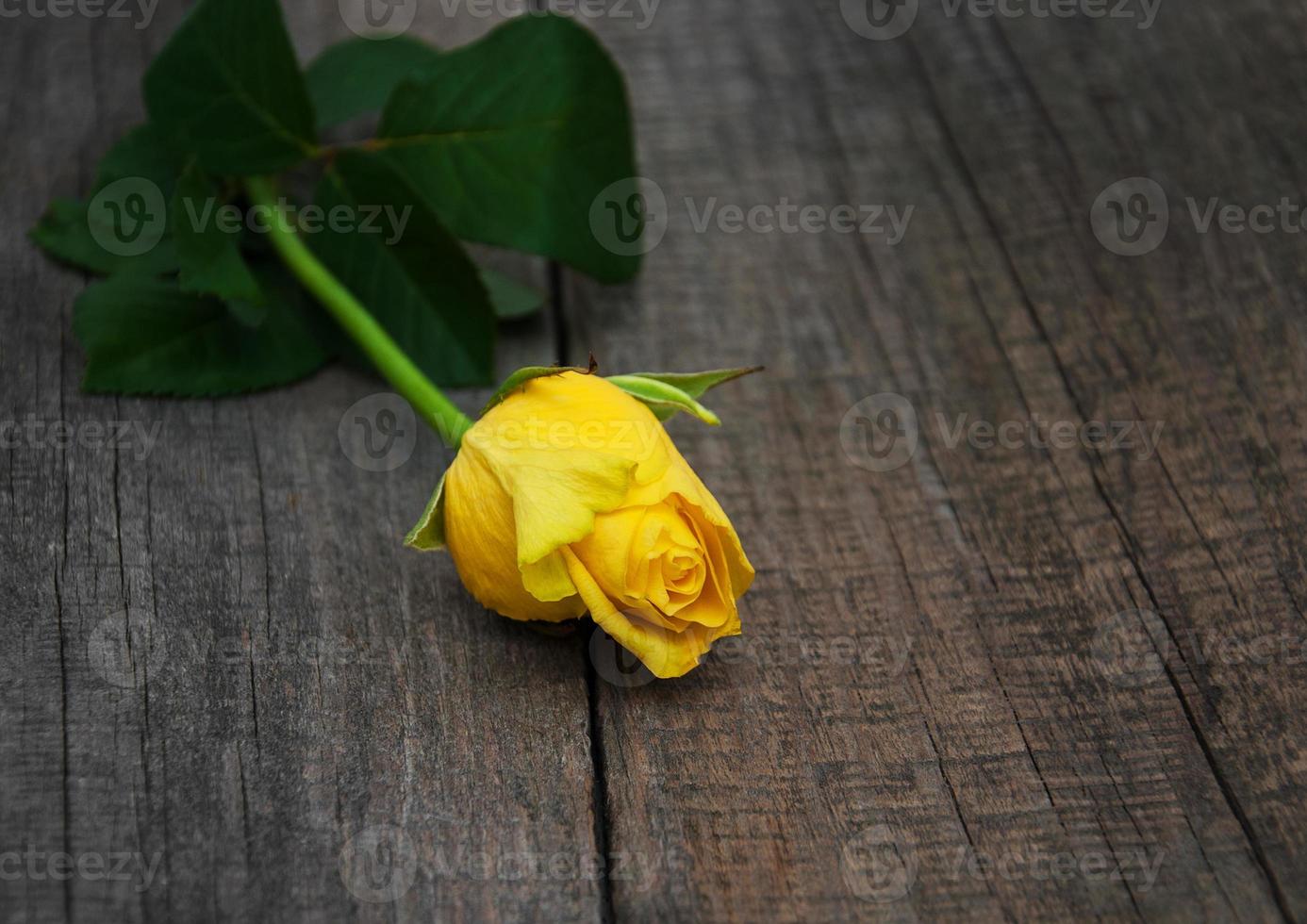 rosa amarilla sobre una mesa foto