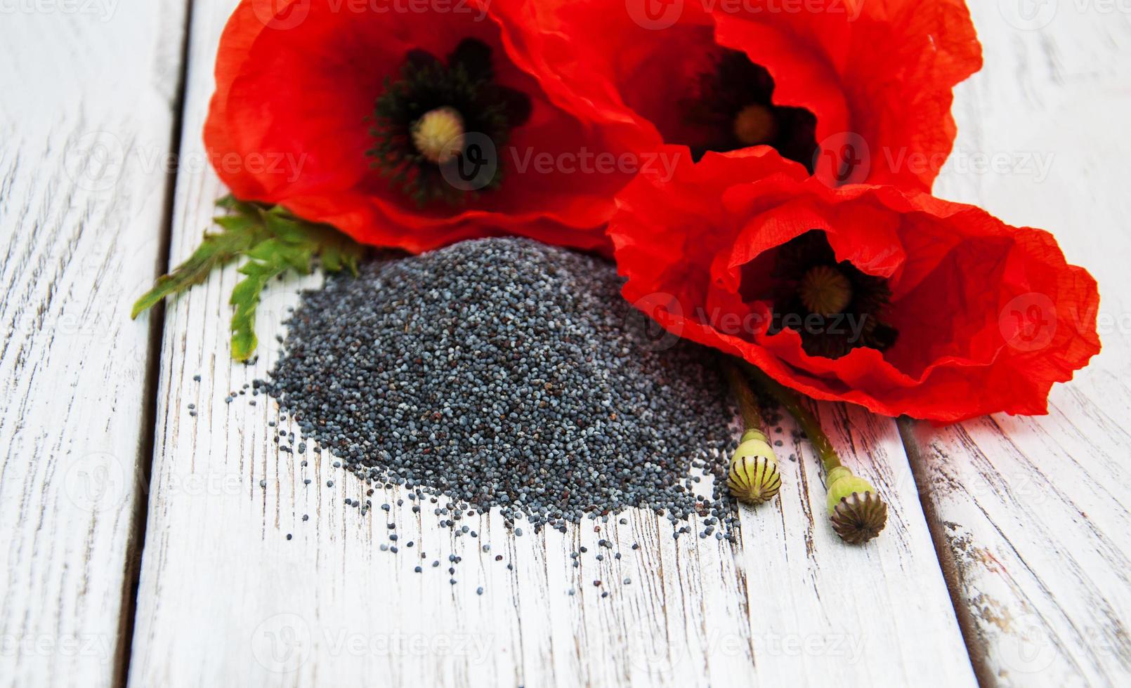 Poppy seeds and flowers photo