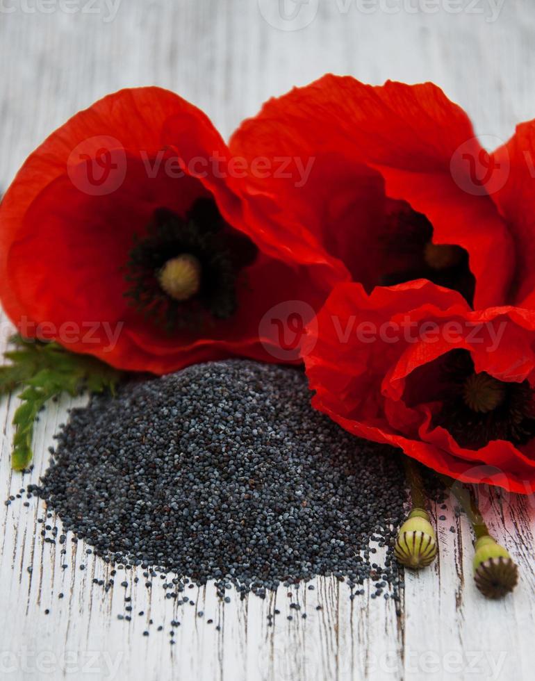 Poppy seeds and flowers photo