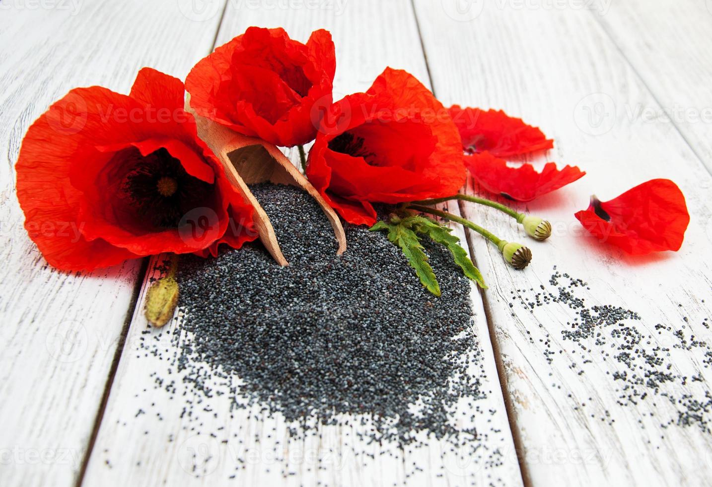 Poppy seeds and flowers photo