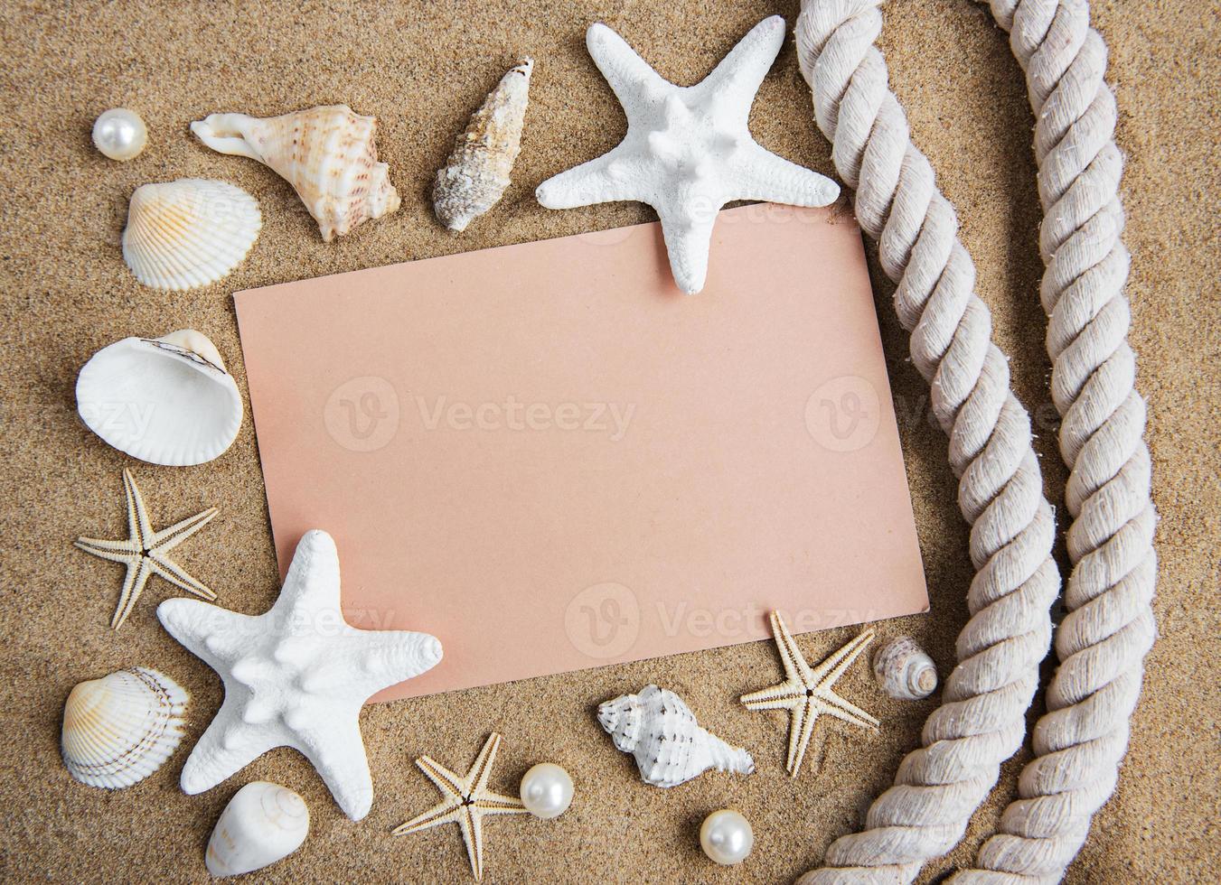 Shells, seastars and an blank postcard photo