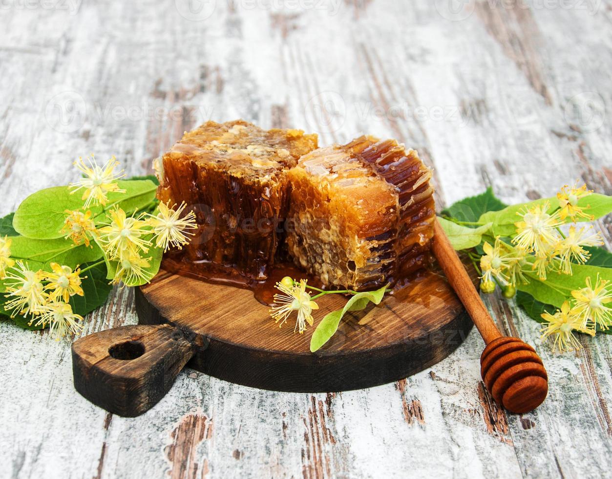 Honey comb and linden flowers photo