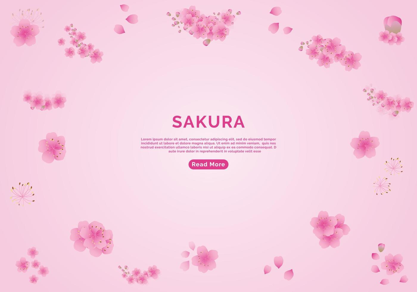 Sakura flowers background. cherry blossom isolated Pink background vector