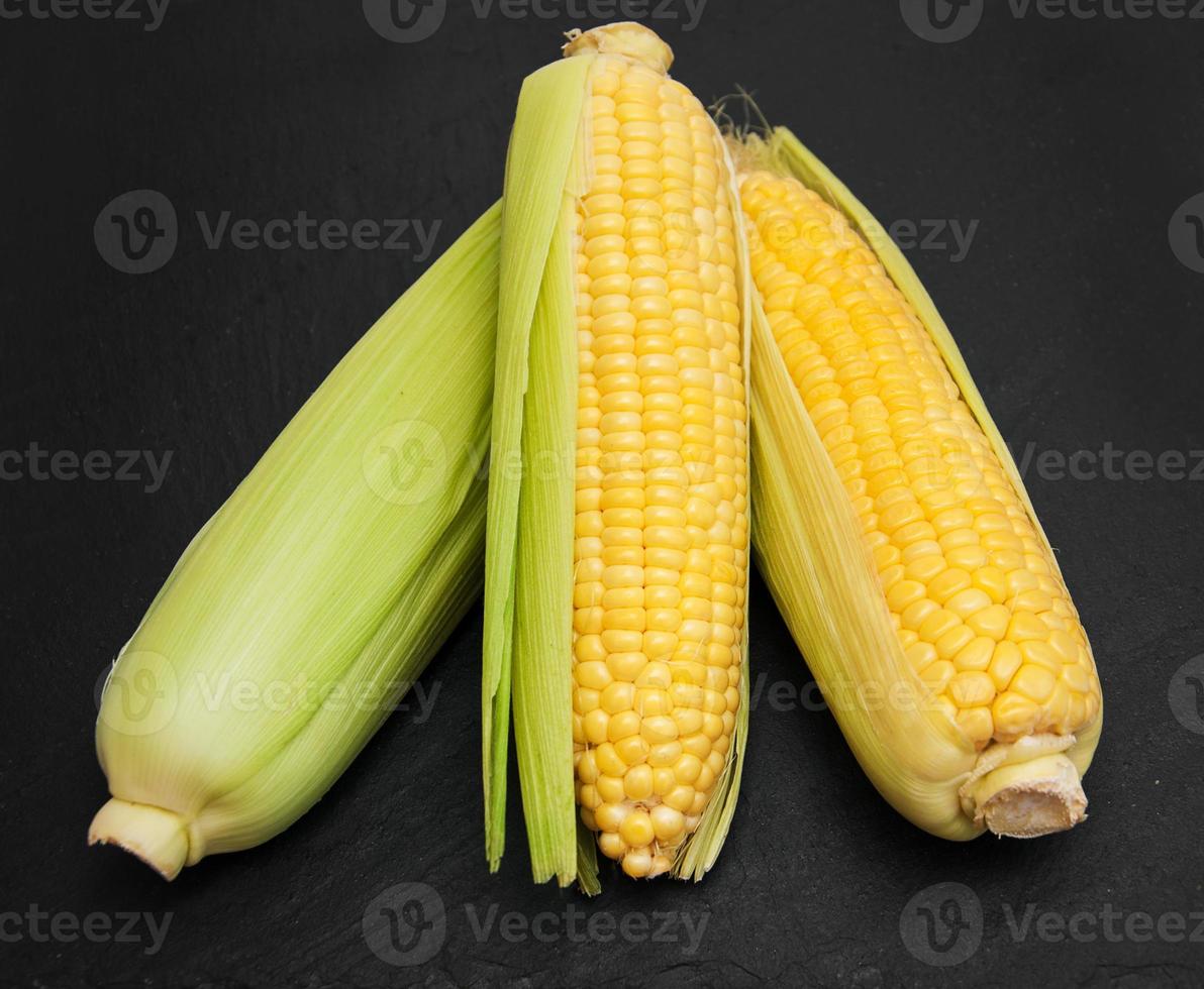 Fresh corn on the cob photo