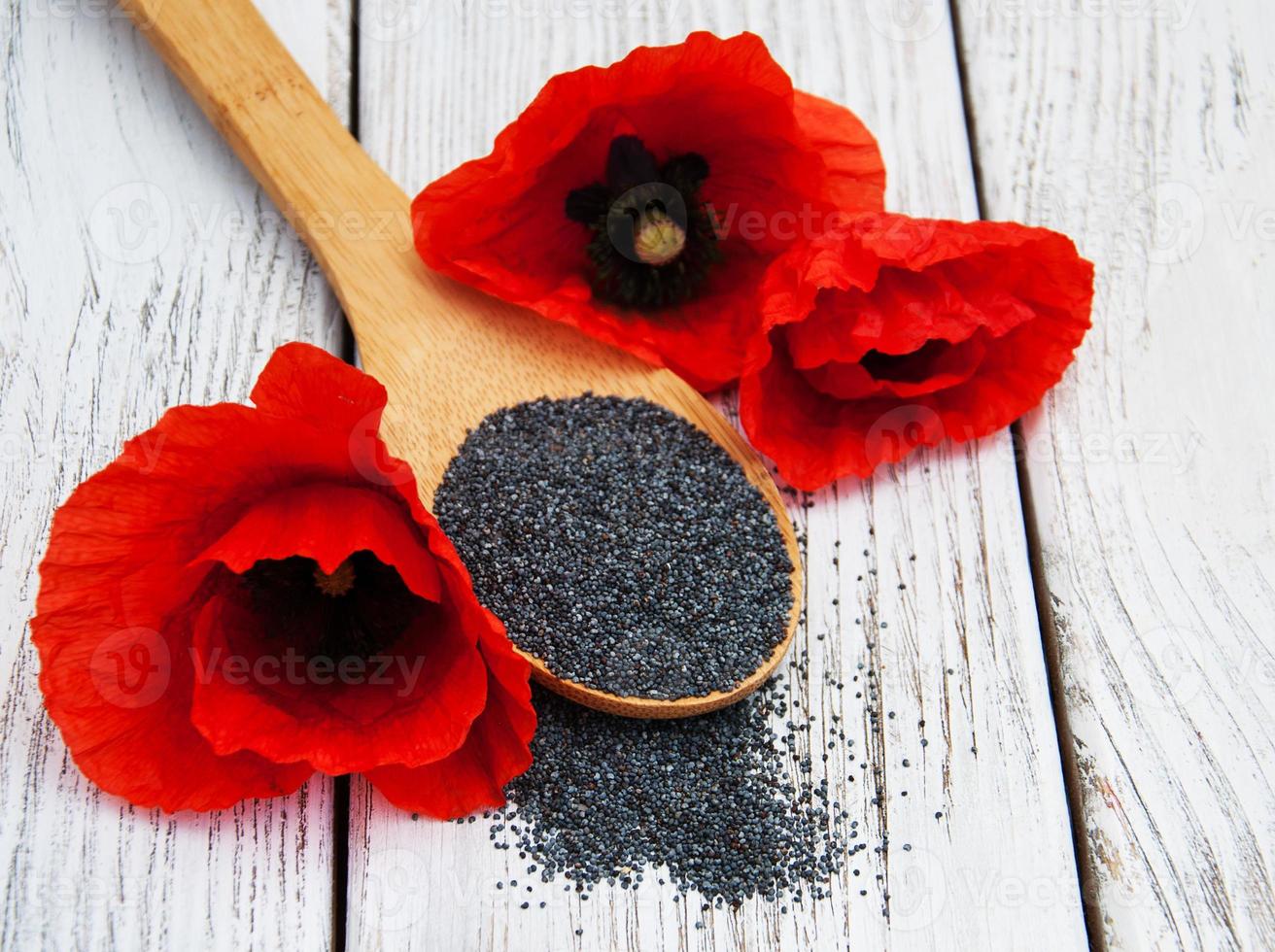 Poppy seeds and flowers photo