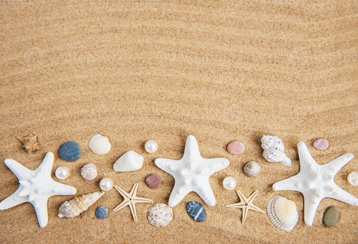 sea shells with sand as background photo
