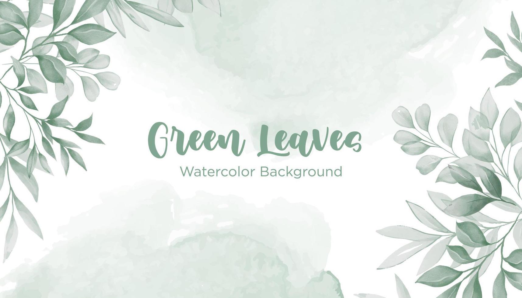 Green leaves watercolor background vector