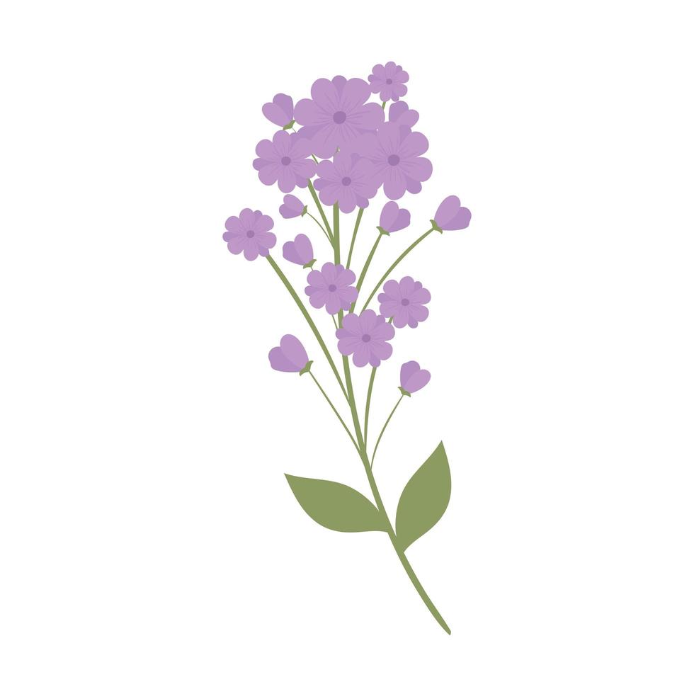 purple flowers bunch vector