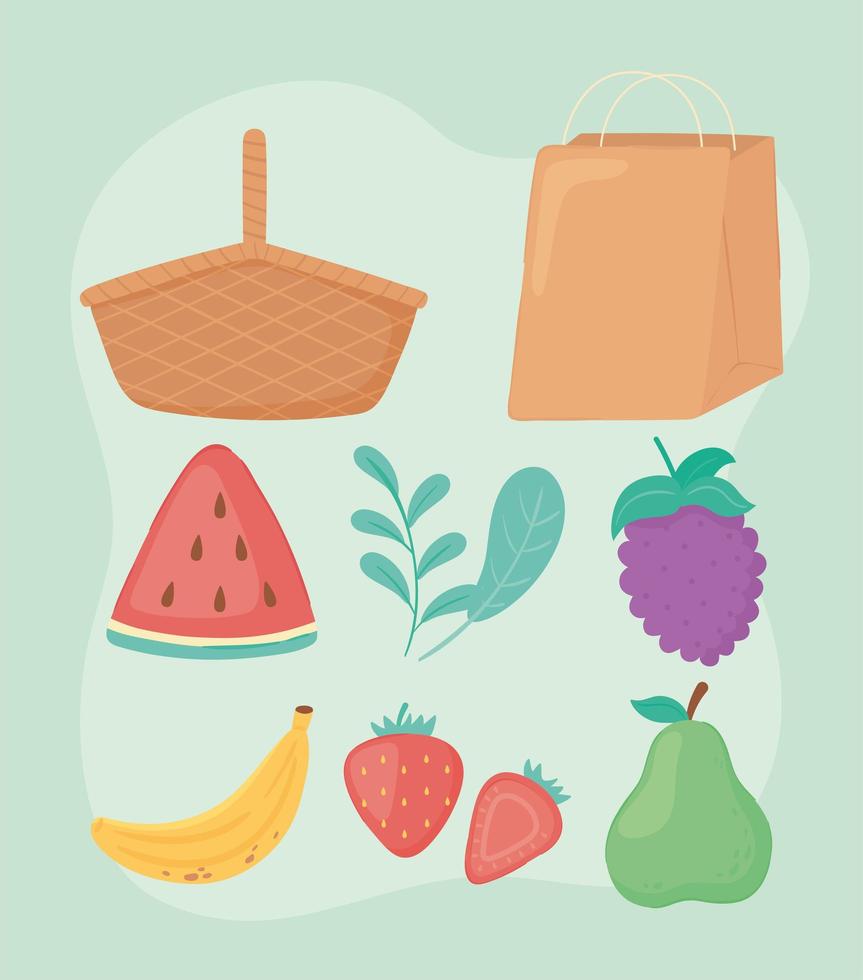 set fruits and basket vector
