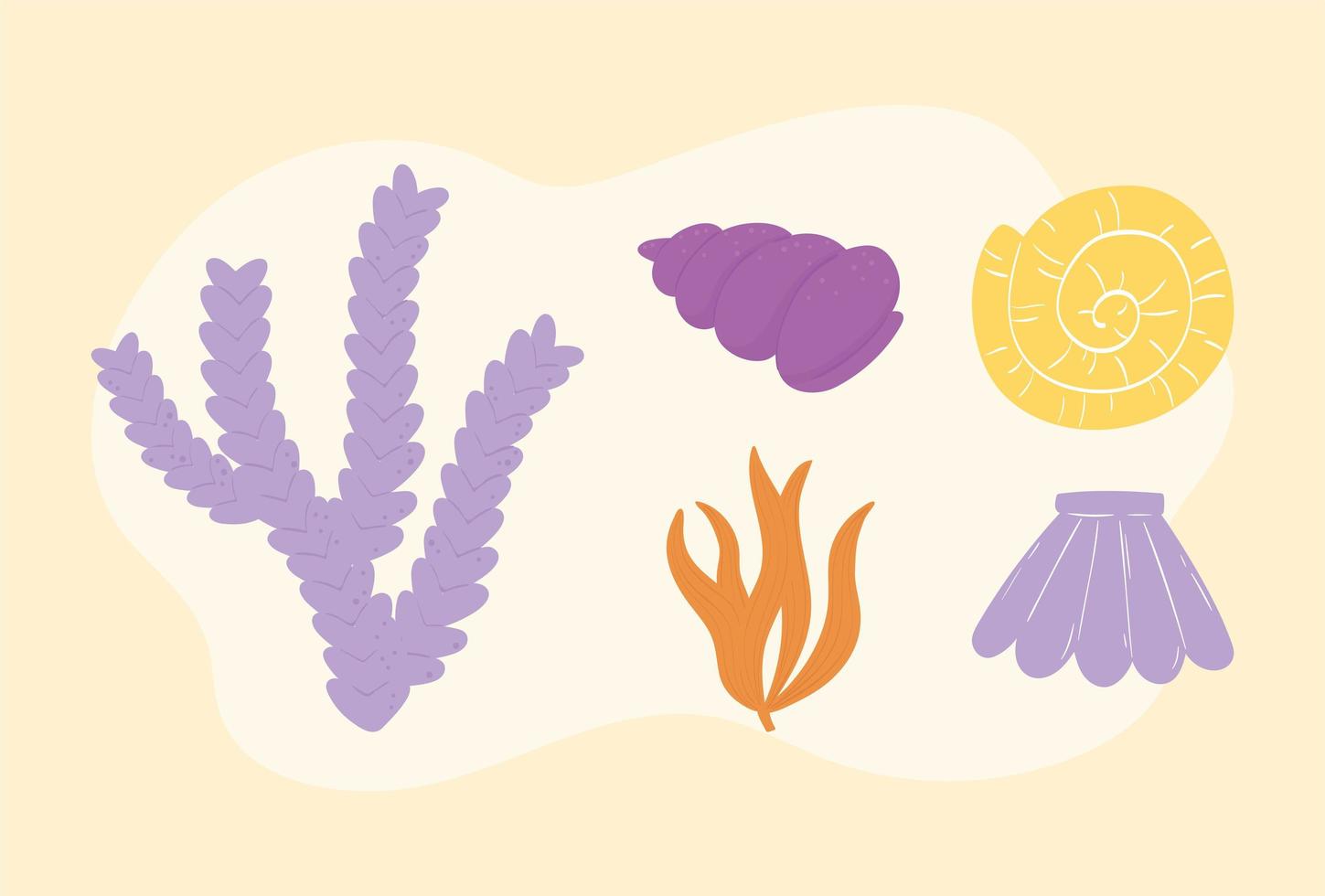 set seaweeds and shells vector