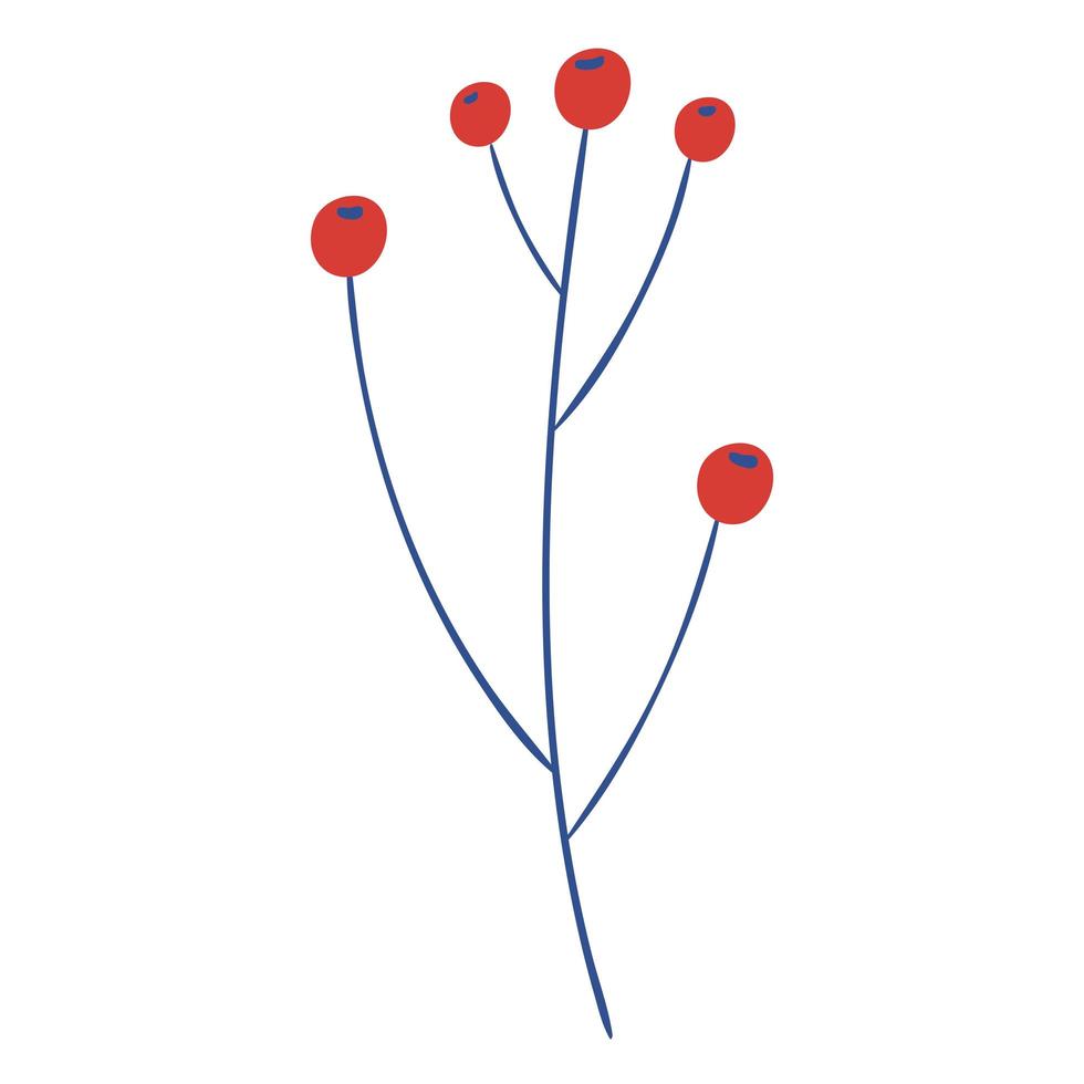 branch with berries vector