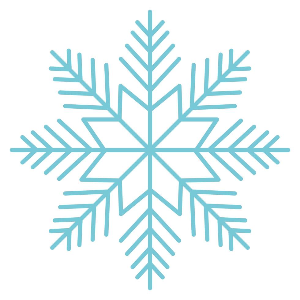 snowflake snow icon vector