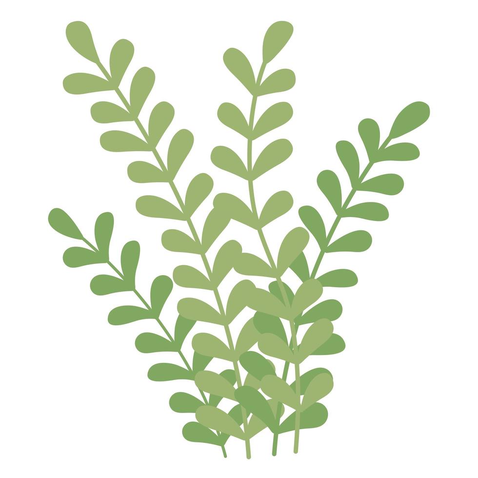 branches foliage icon vector