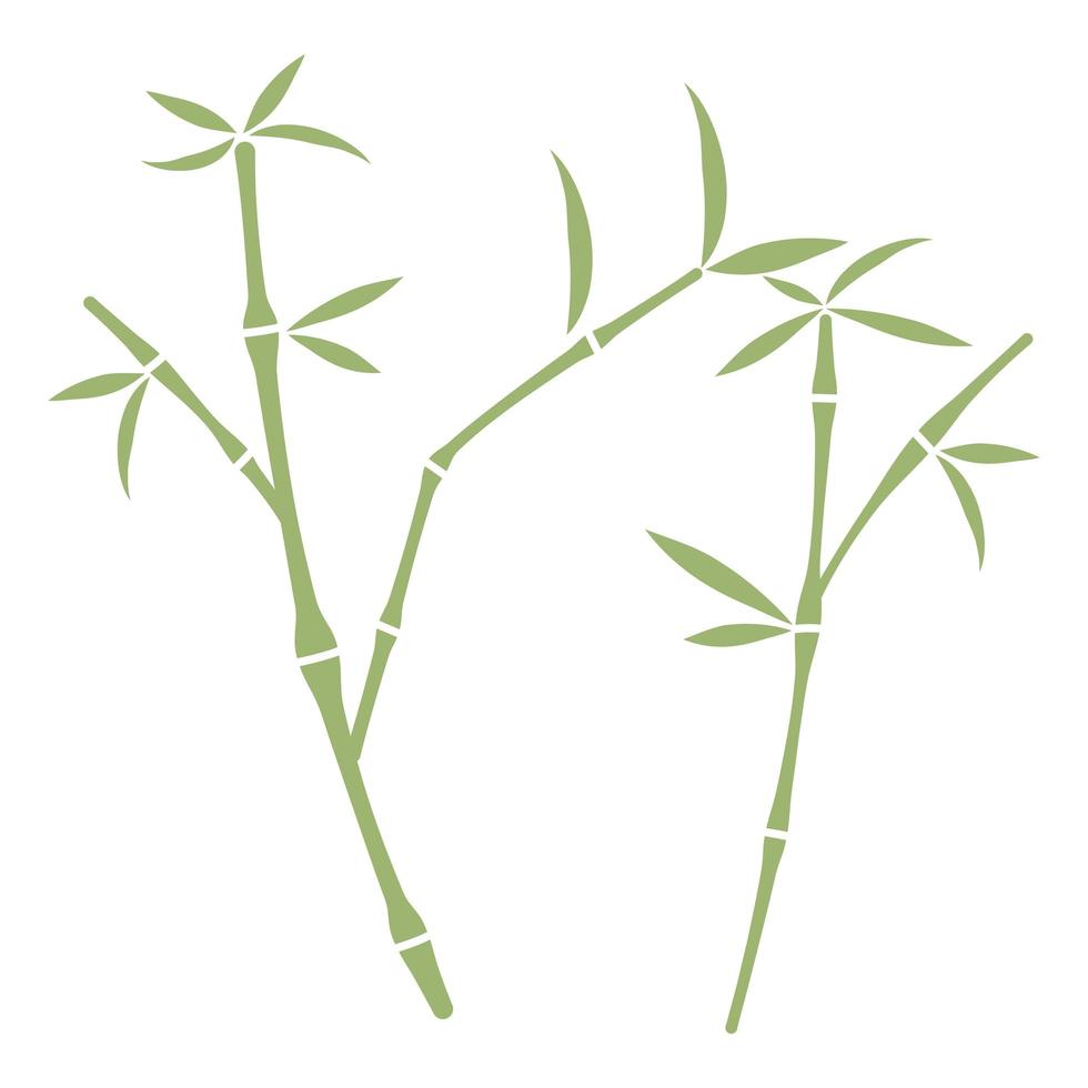 bamboo plant nature vector