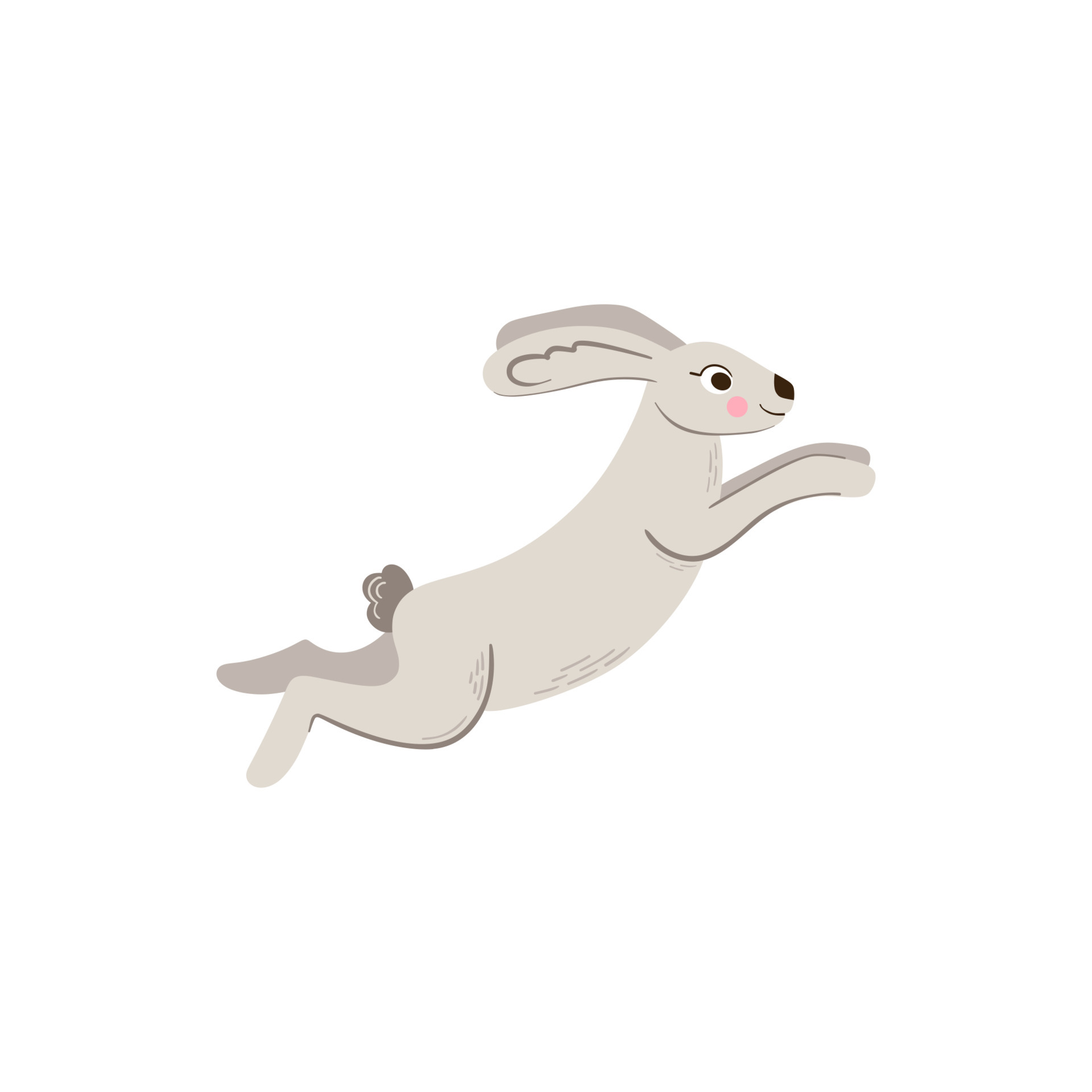 Rabbit vector vector icon isolated on white background rabbit. 5251683 Vector Art at Vecteezy Rabbit vector vector icon isolated on white background rabbit. 5251683 Vector Art at Vecteezy