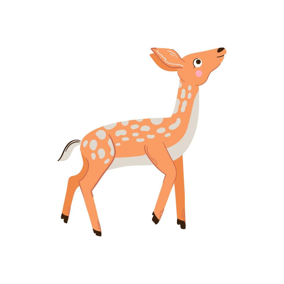 cute baby deer illustration. woodland animal vector illustration 5251685  Vector Art at Vecteezy