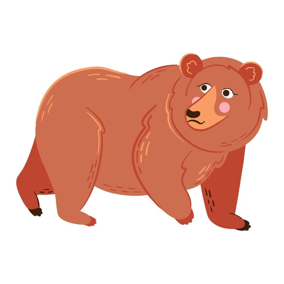 Grizzly bear vector illustration. Forest wild animal