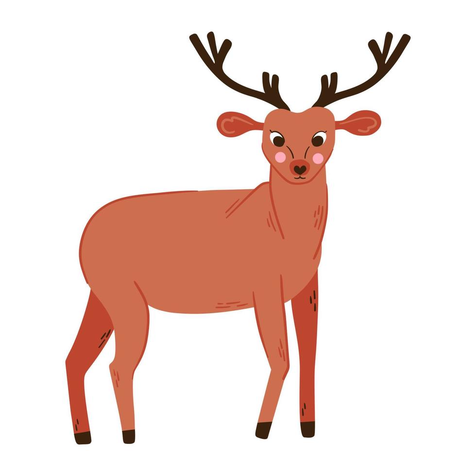 Deer vector illustration. Reindeer cute woodland animal isolated object.