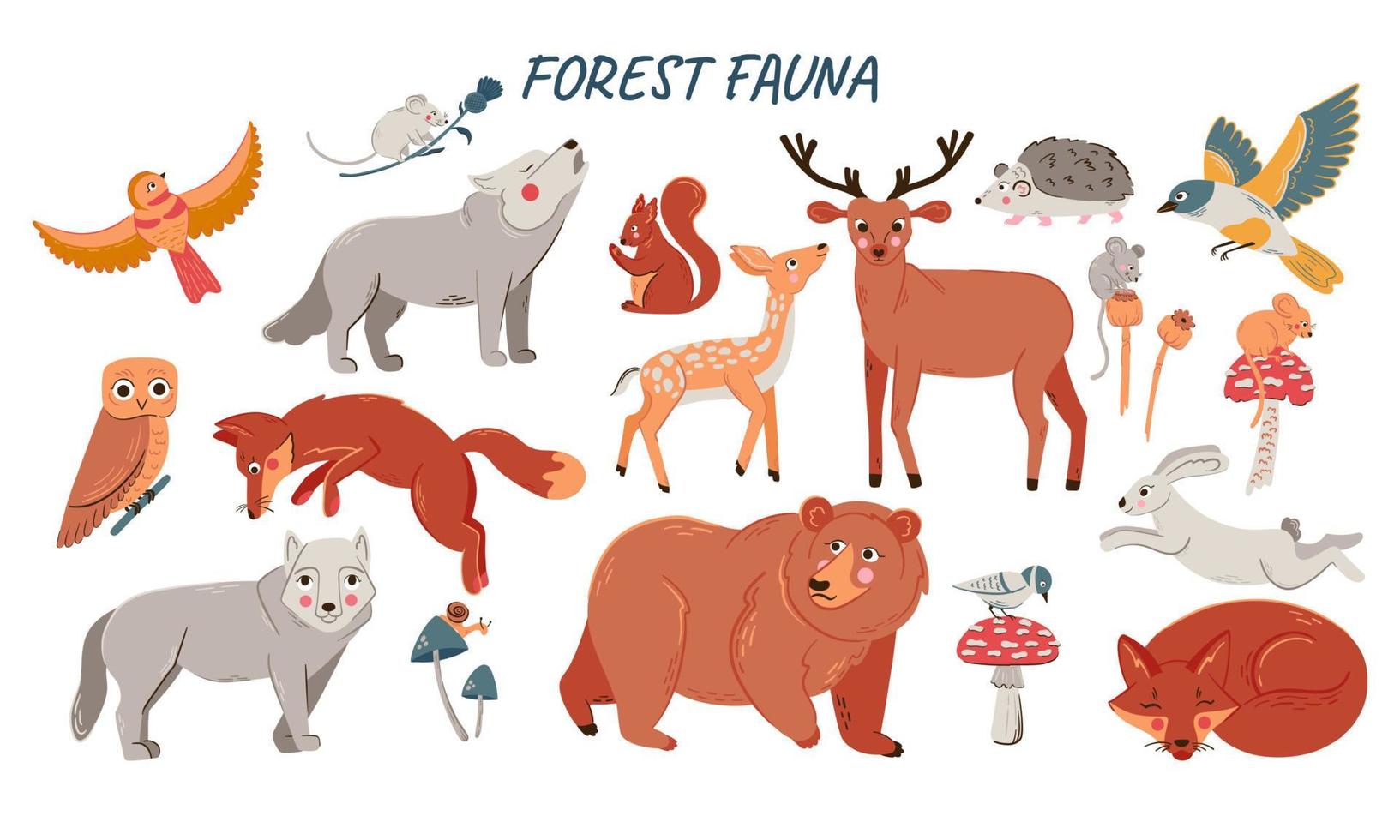 Vector set of cute woodland animals for baby shower and kids design. Collection of forest animals - bear, fox, wolf, rabbit and birds