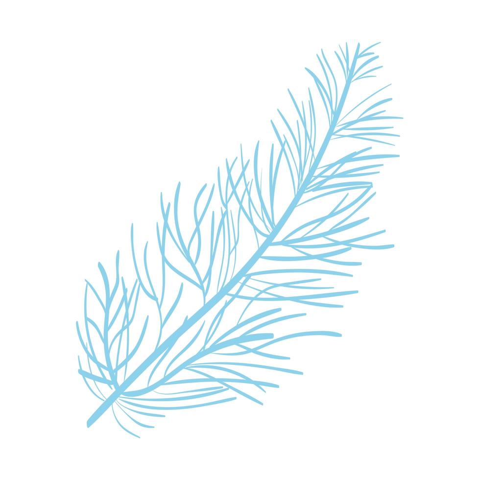 pine branch foliage vector