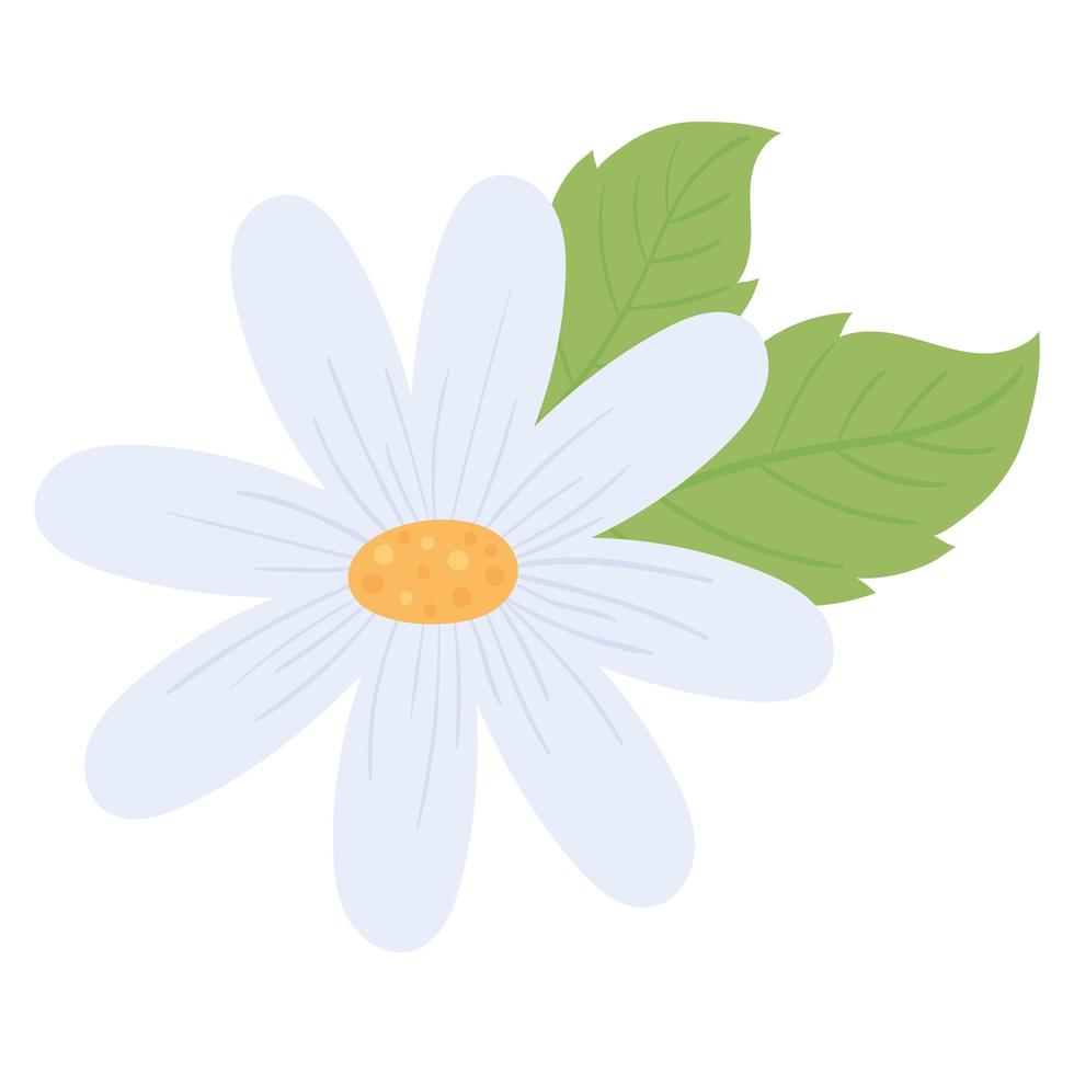 flower and leaf vector