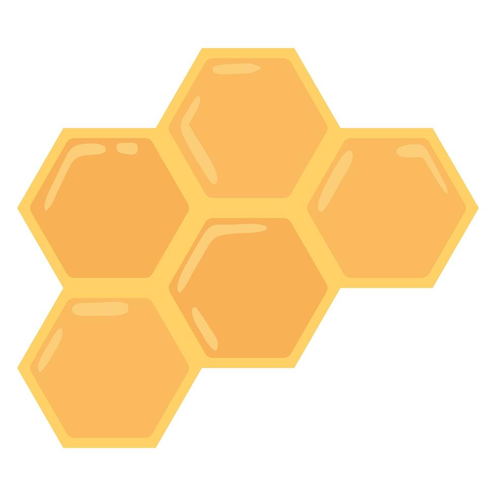 bee honeycomb with honey vector