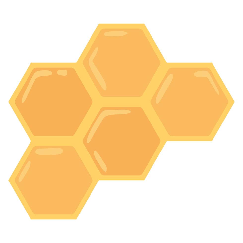 bee honeycomb with honey vector