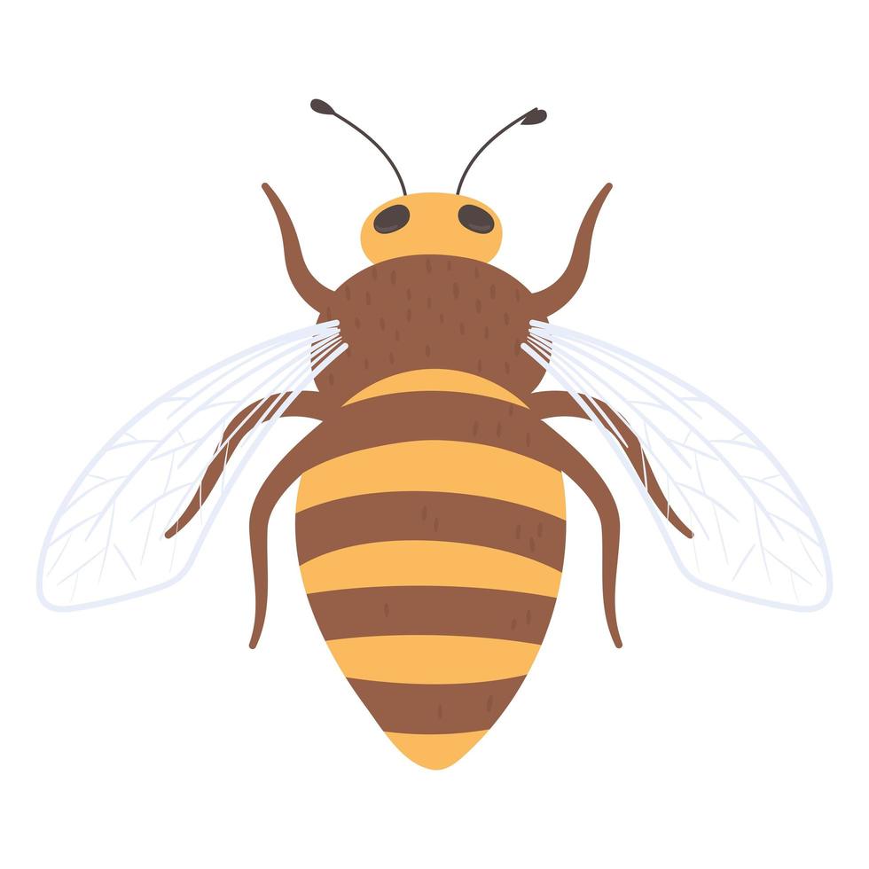 icono de insecto abeja vector