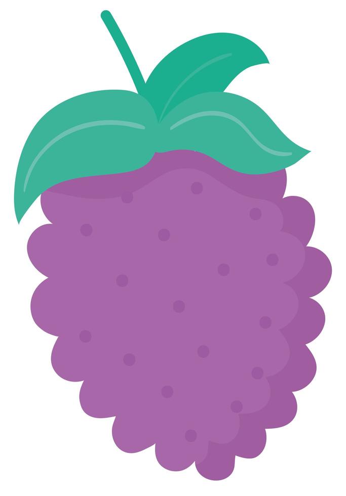 grapes flat icon vector