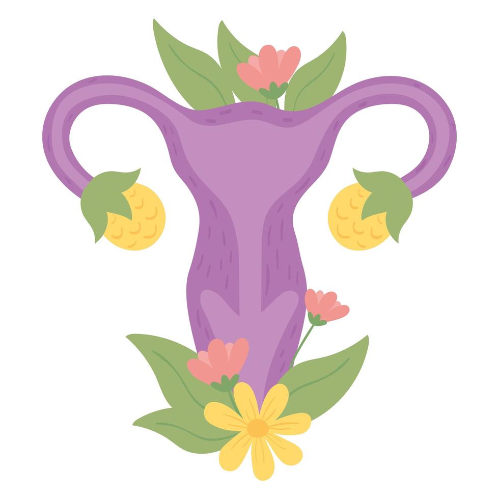 uterus human body part vector