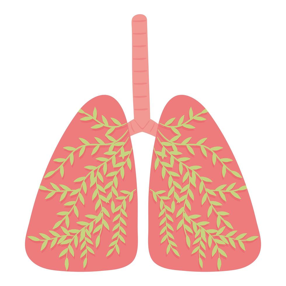 parte del cuerpo humano pulmones vector