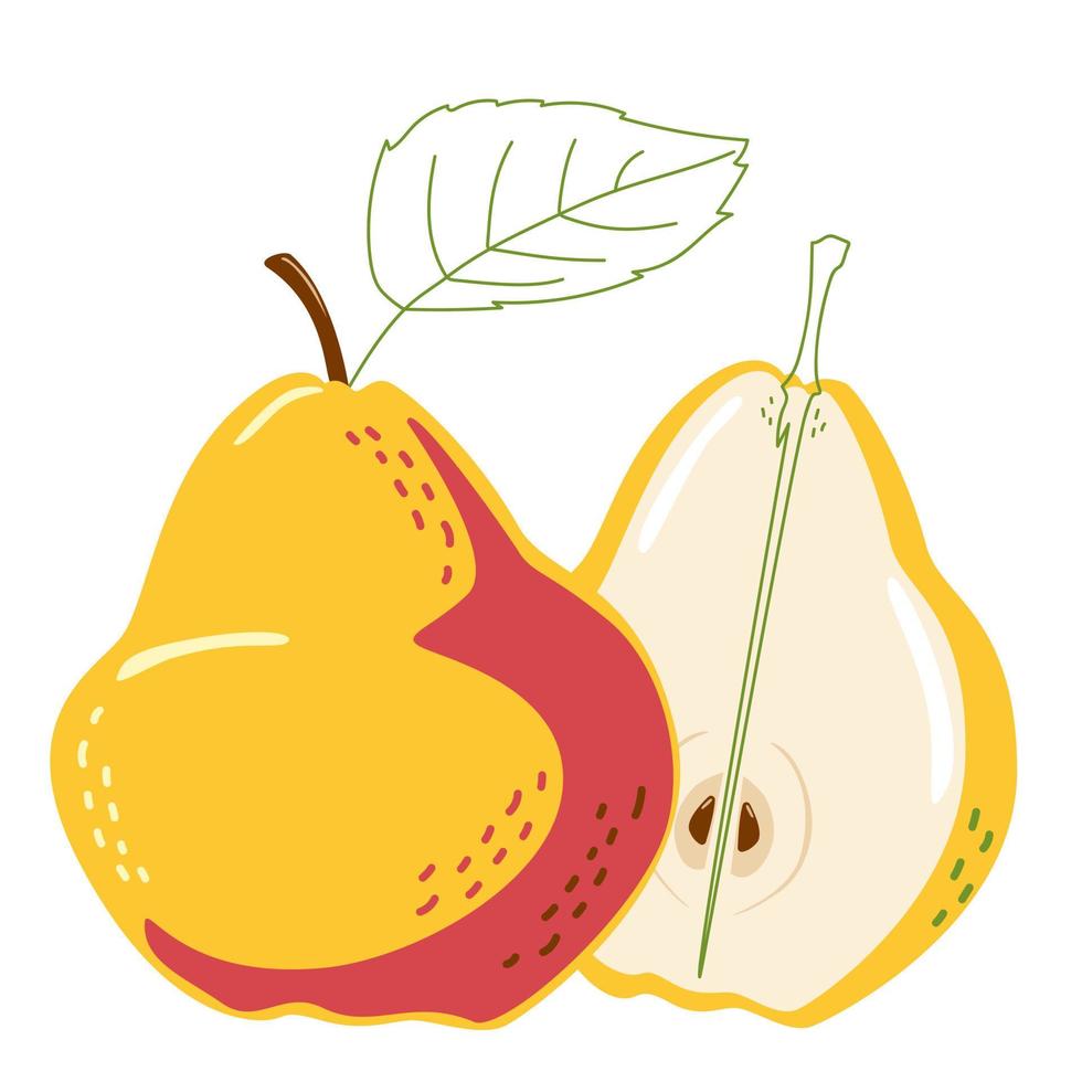 Juicy ripe pear whole and in section vector