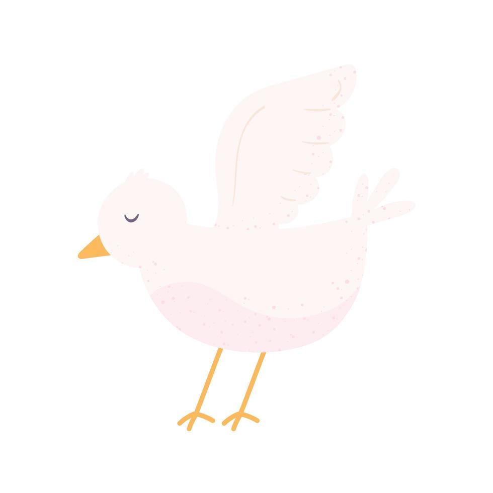 dove bird icon vector