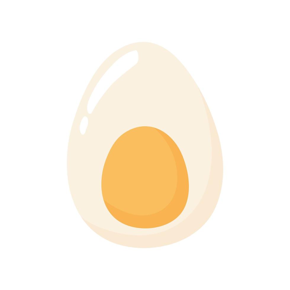 boiled egg food vector