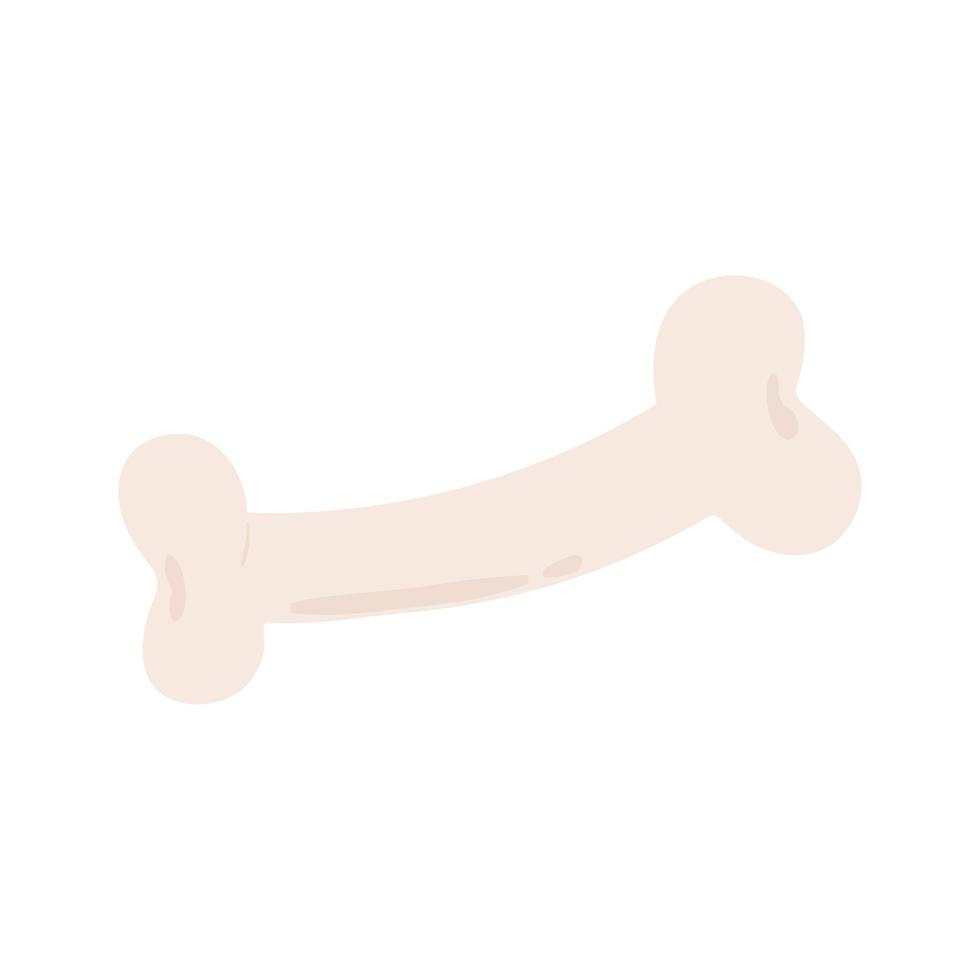 cartoon dog bone on white vector