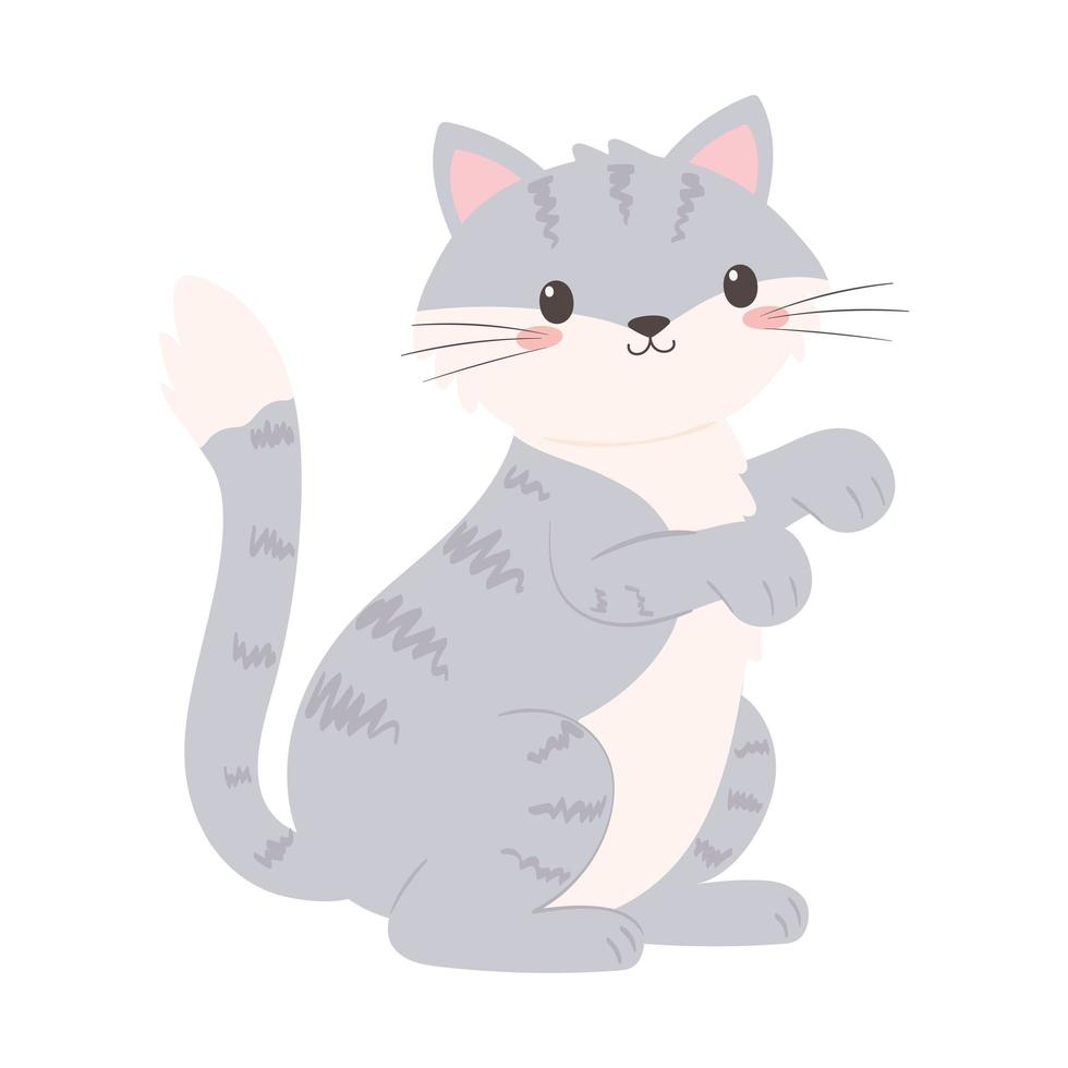 little cat pet vector