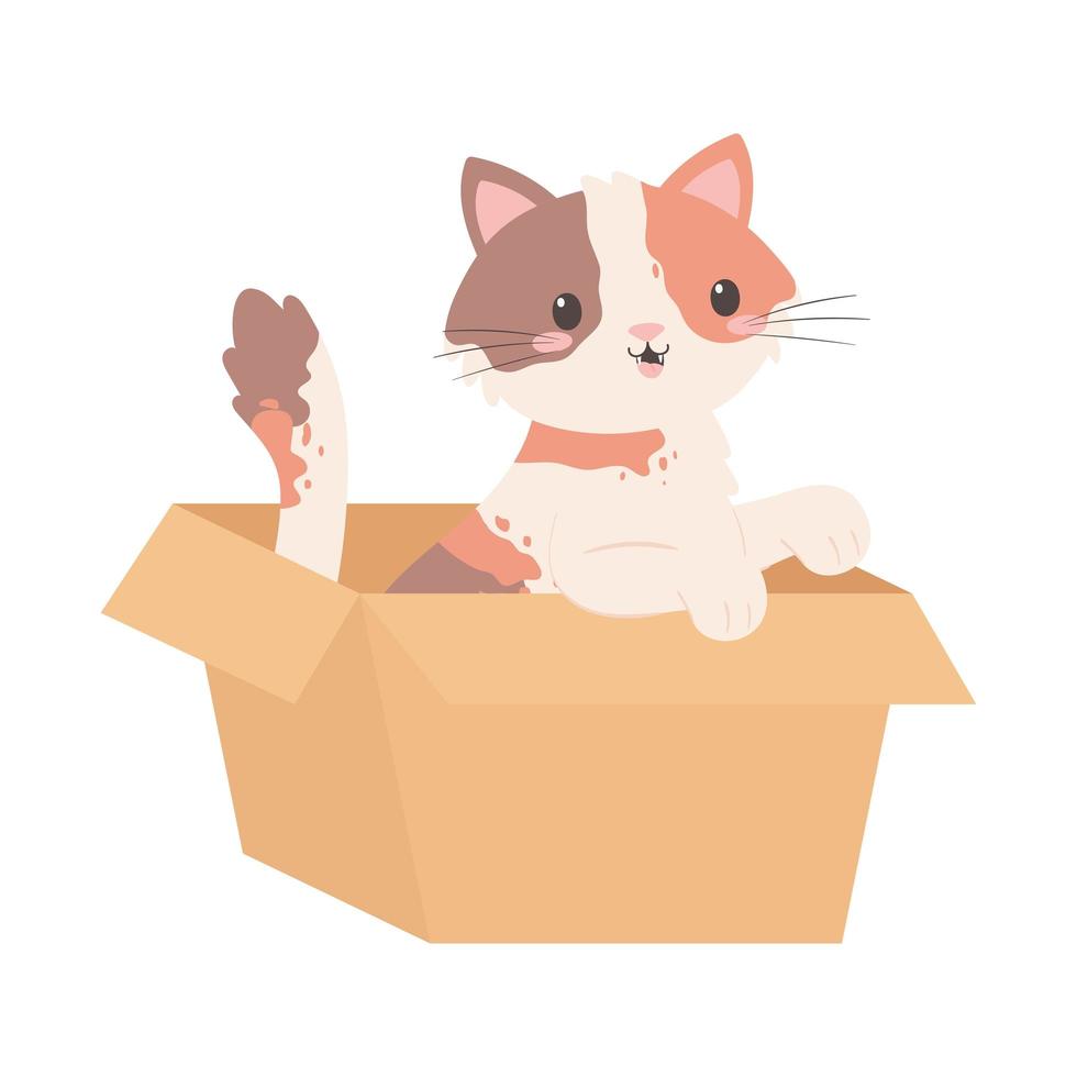 gatito en caja vector