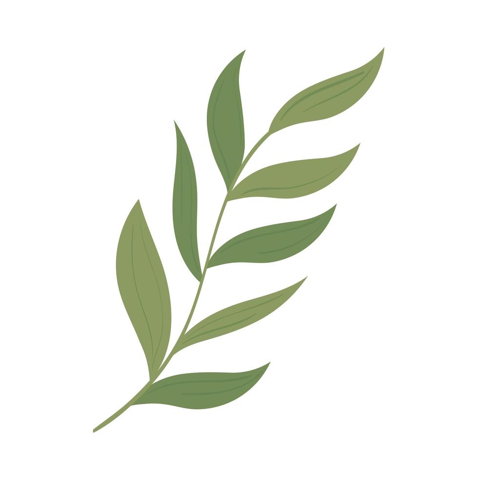 leaves branch plant vector