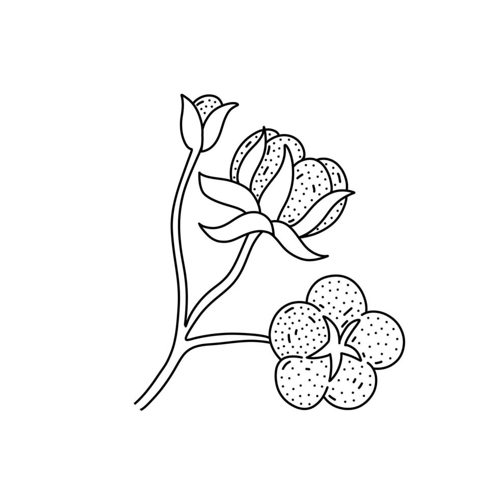 icono de flor de algodón dibujado a mano en estilo de fideos. icono de vector de flor de algodón de dibujos animados para diseño web aislado sobre fondo blanco.