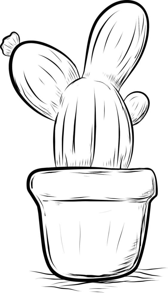 Sketch Cactus in pots. Cartoon style outline vector