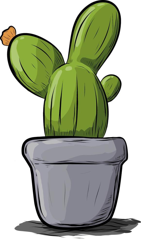 Cactus in pots. Cartoon style vector illustration.