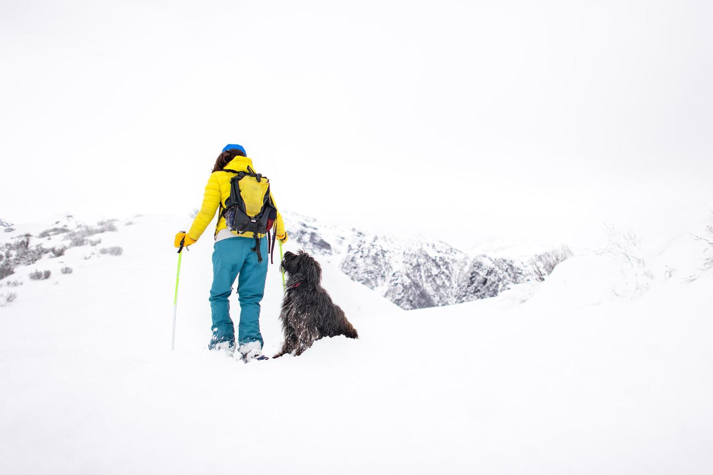 During a snowshoe hike a dog looks at his mistress photo
