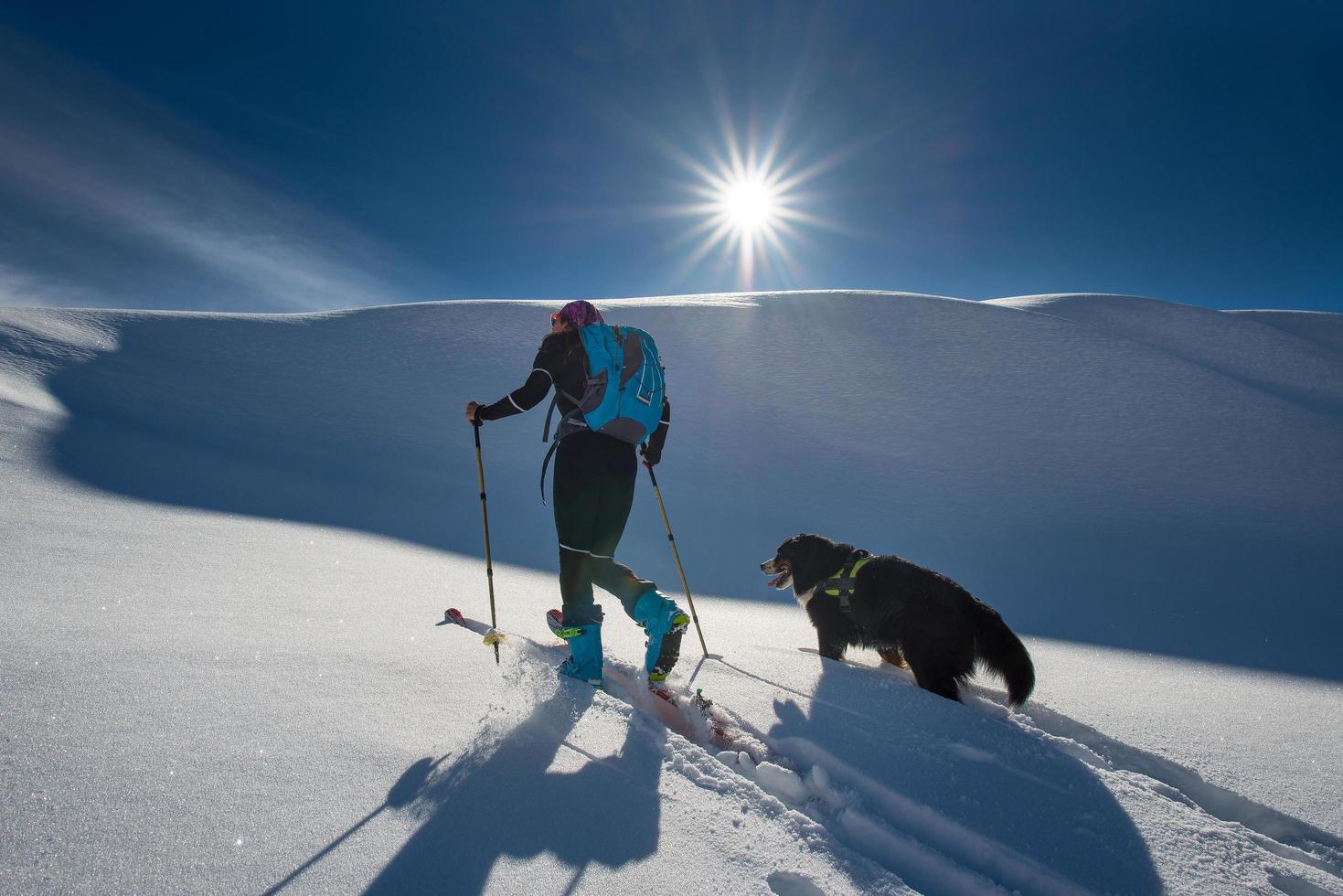 chica hace esquí de montaña con su perro foto