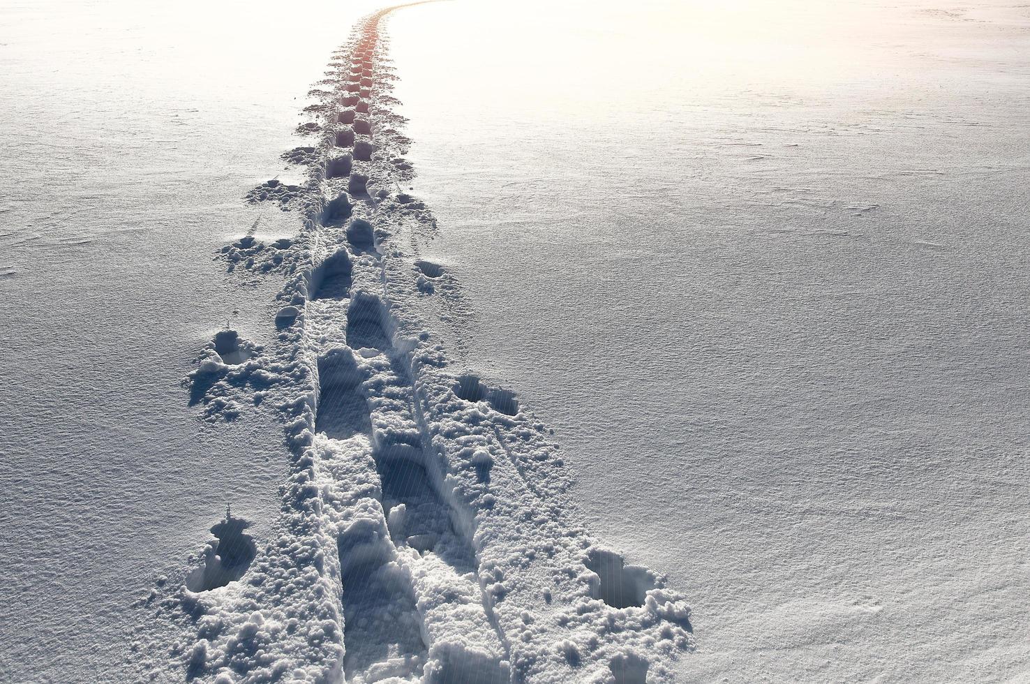 Footprints in the snow go away photo