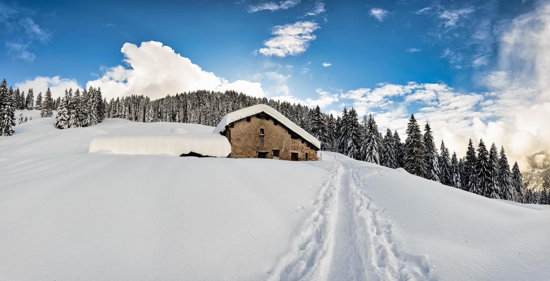 A track in the snow of ski mountaineers with skins photo